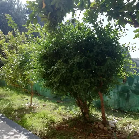 Casa בית נופש נאפולי